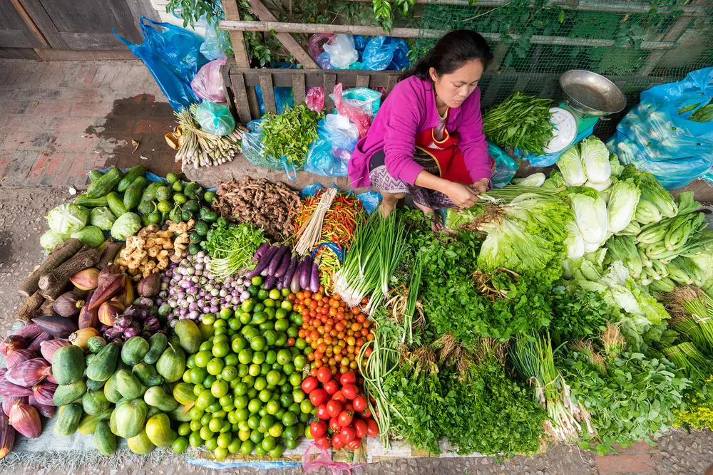 marche laos_1000