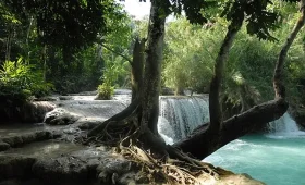 Chutes de Kuang Si 1