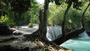 Chutes de Kuang Si 1
