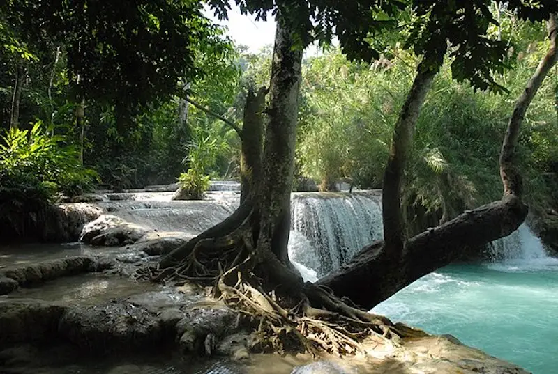 Chutes de Kuang Si 1